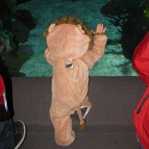 Toddler lion costume